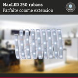 Bande LED MaxLED 250 en blanc jour, extension flexible pour éclairage intérieur moderne