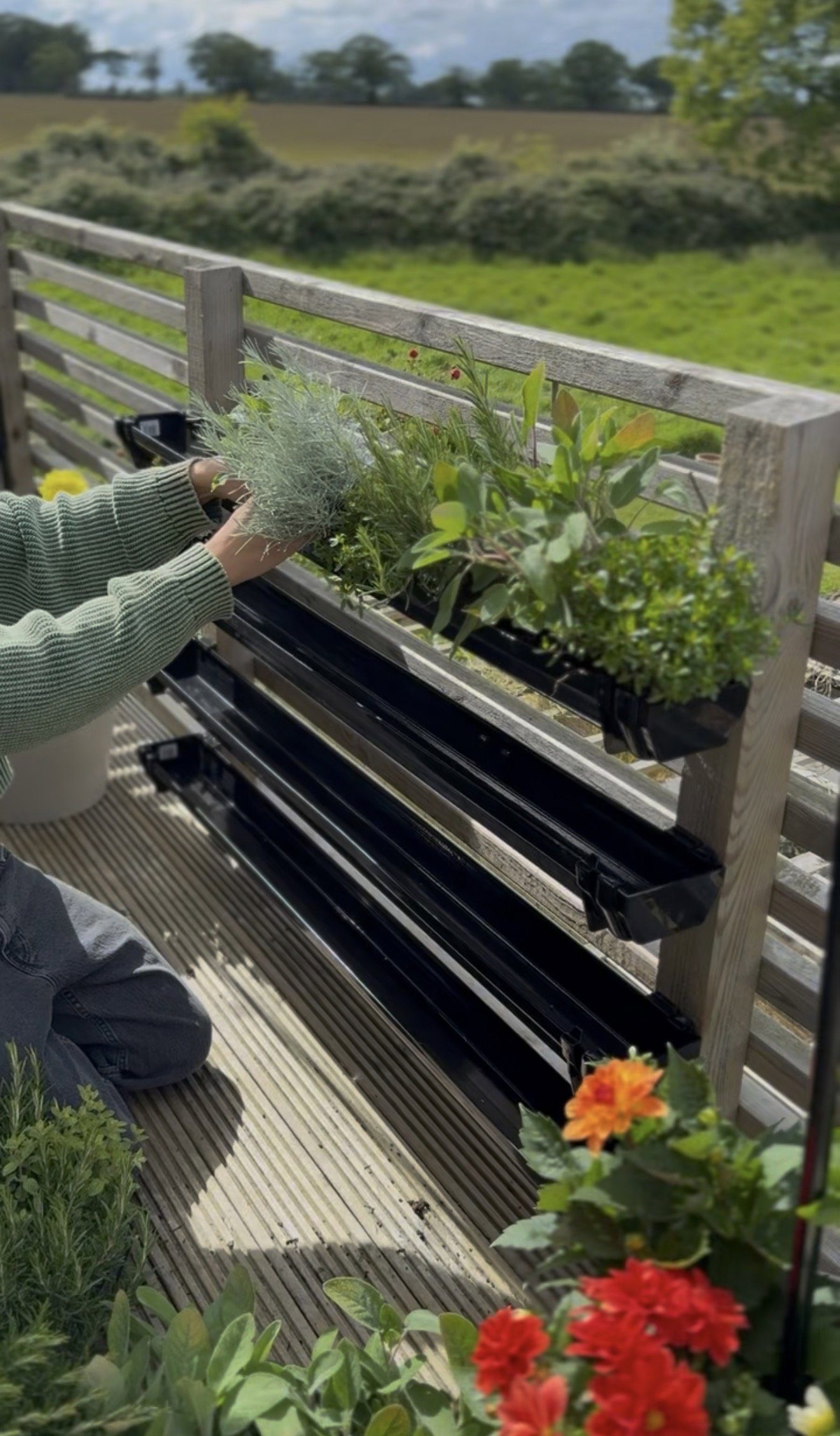 Black plastic balcony plant holders with green herbs and colorful flowers on wooden railing
