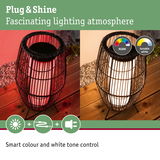 Black outdoor lamp with metal cage featuring adjustable RGBW and tunable white light for atmospheric lighting