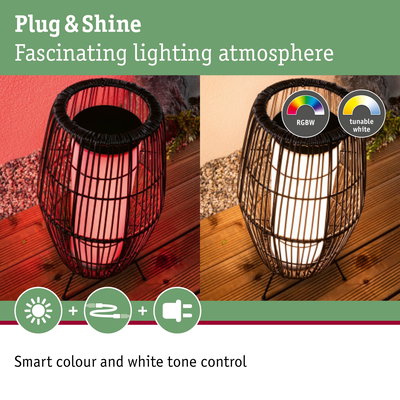 Black outdoor lamp with metal cage featuring adjustable RGBW and tunable white light for atmospheric lighting