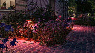 Moderne tuinlampen met rood licht langs geplaveid pad naast bloeiende planten voor buitenverlichting.