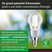 Ampoule LED économique à verre transparent avec culot E14 pour un éclairage efficace et écologique
