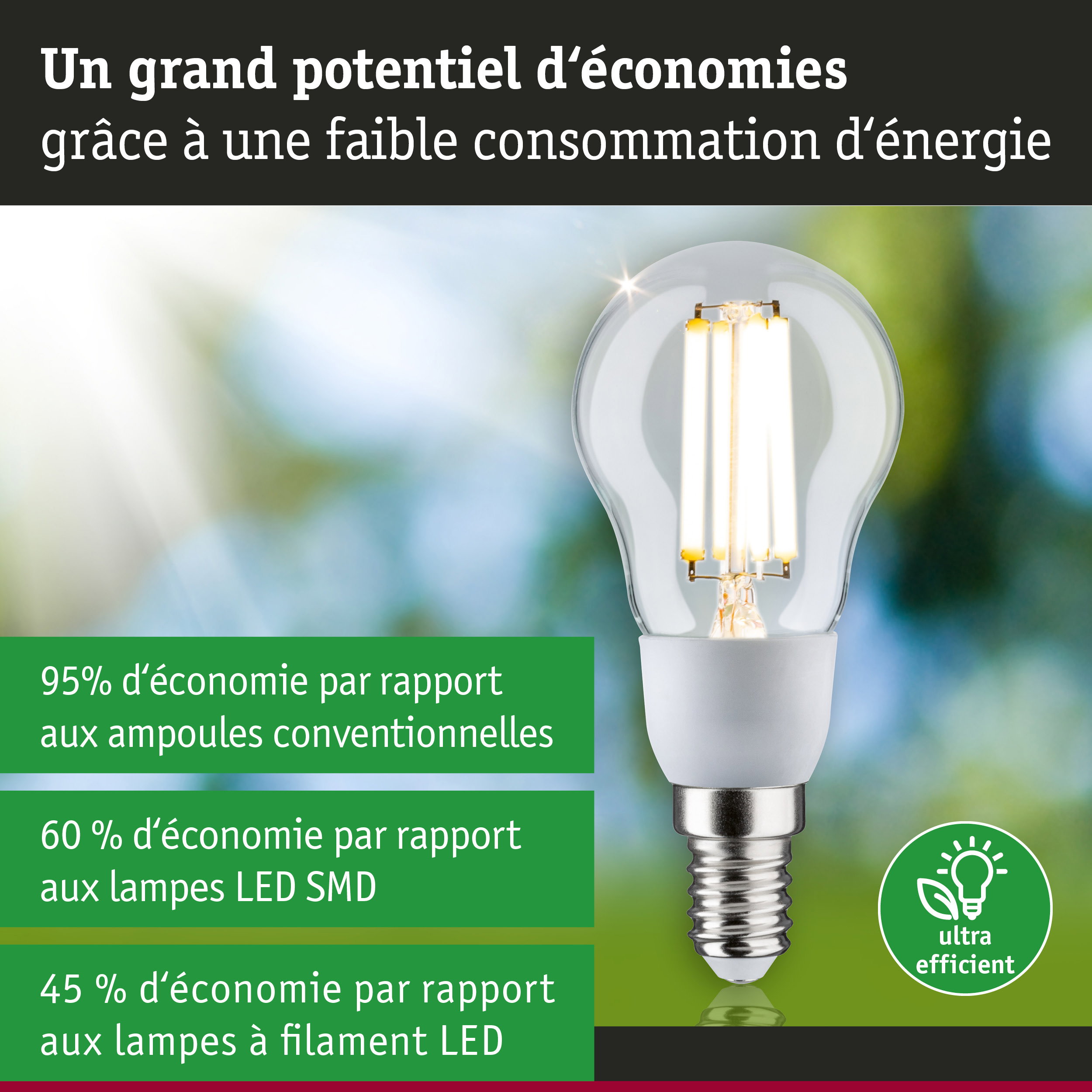 Ampoule LED économique à verre transparent avec culot E14 pour un éclairage efficace et écologique