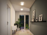 Couloir moderne avec luminaires blancs au plafond, plantes vertes et décoration minimaliste sous lumière chaude.