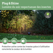 Projecteur de jardin à lumière blanc chaud, respectueux des insectes, éclaire des buissons verts devant une clôture en bois