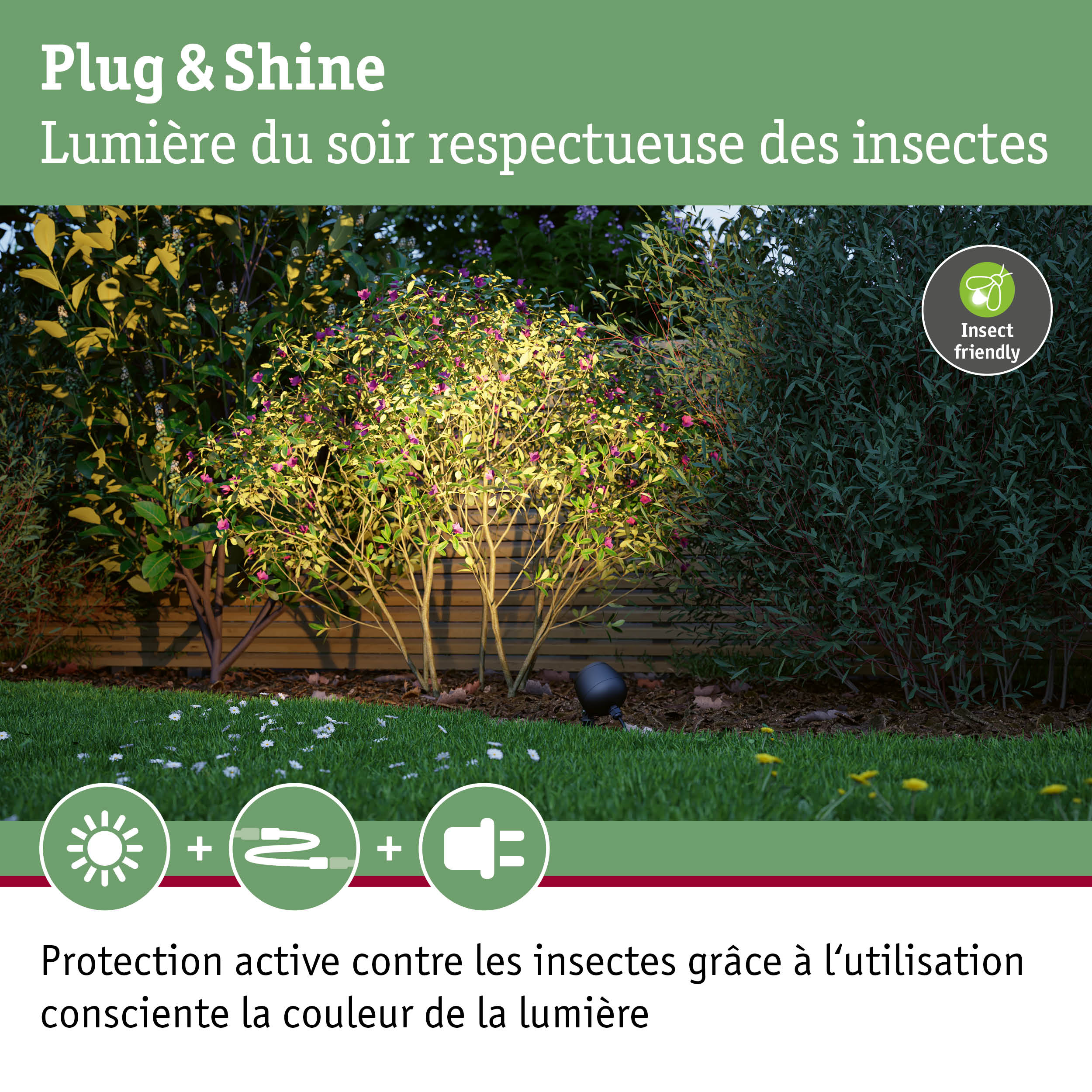 Projecteur de jardin à lumière blanc chaud, respectueux des insectes, éclaire des buissons verts devant une clôture en bois