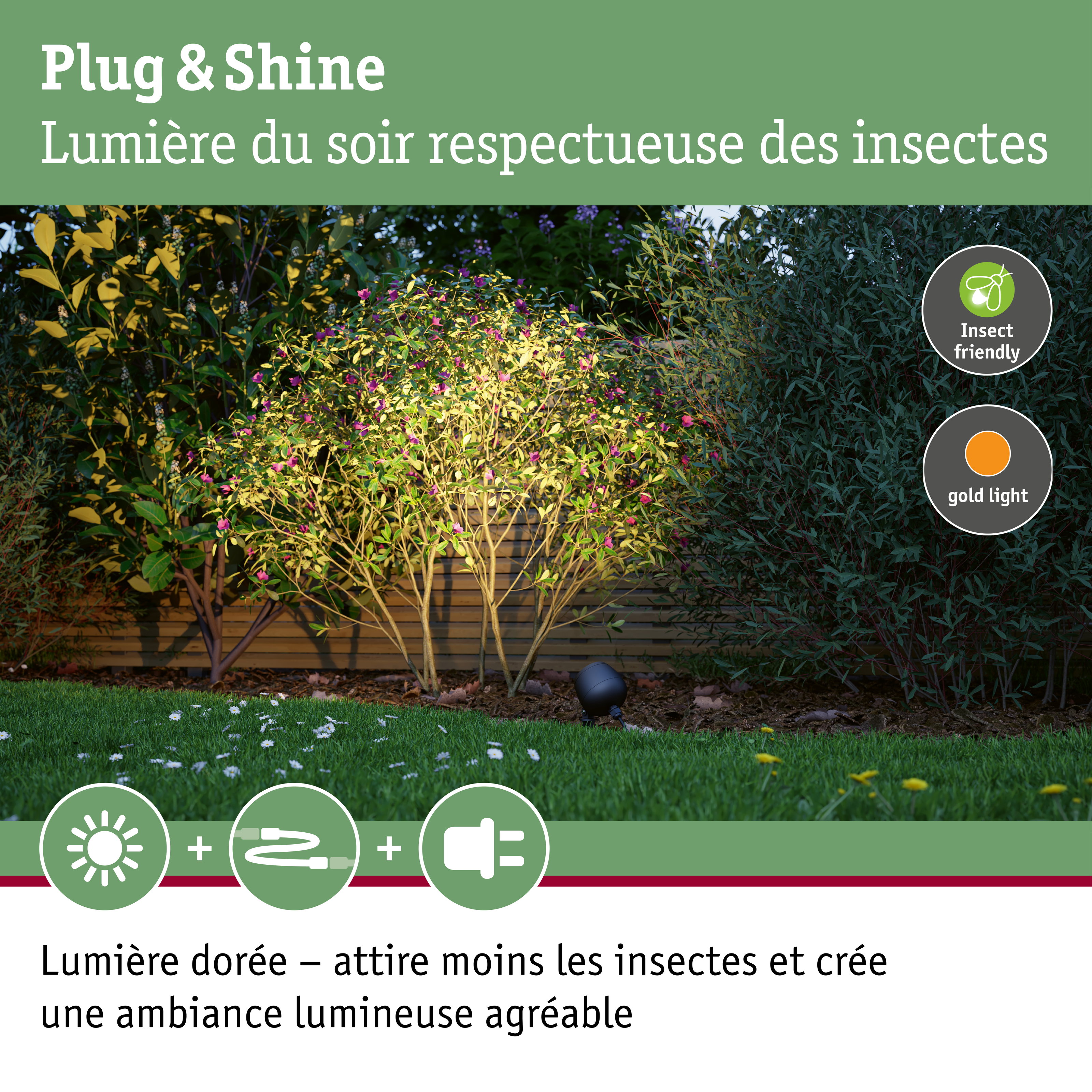 Projecteur de jardin à lumière blanc chaud, respectueux des insectes, éclaire des buissons verts devant une clôture en bois
