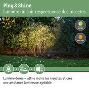 Projecteur de jardin à lumière blanc chaud, respectueux des insectes, éclaire des buissons verts devant une clôture en bois