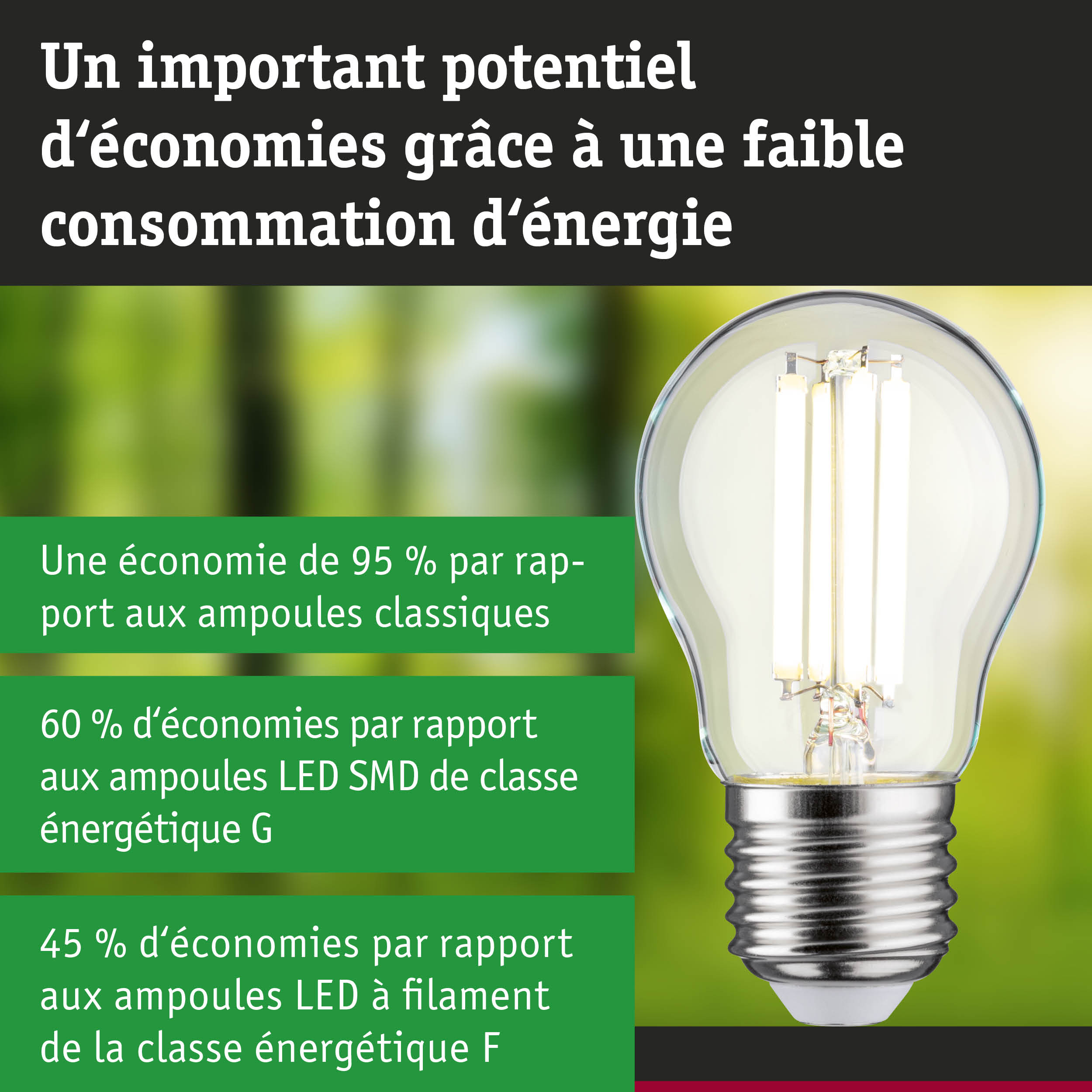 Ampoule basse consommation en verre transparent avec base argentée, illustrant l'efficacité énergétique