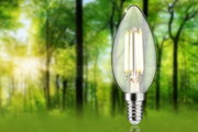 Clear LED candle bulb with E14 base against green forest background for energy-saving lighting