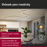 Modern warm white LED ceiling light with curved design for stylish living room lighting