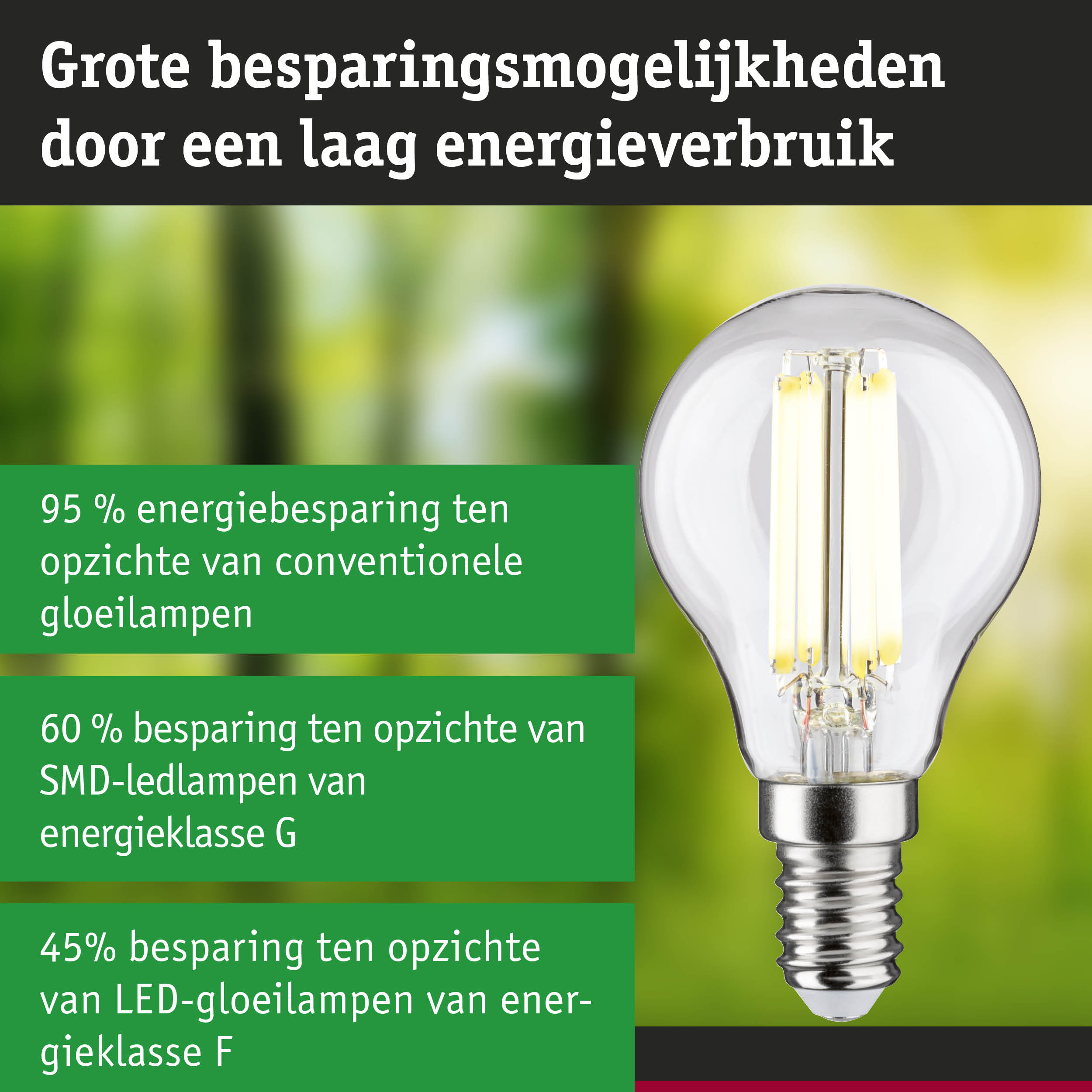 Energiezuinige LED-gloeilamp met helder glas en schroefsokkel tegen groen-blauwe achtergrond