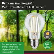 Transparante LED-lamp met warm wit licht en ultra-efficiënte technologie tegen groene bosachtergrond