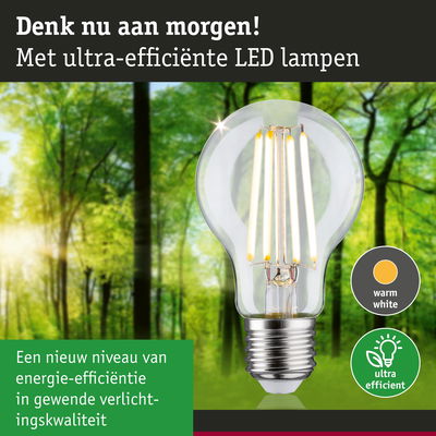 Heldere LED-lamp met warm wit licht en ultra-efficiënte energie, groene bosachtergrond