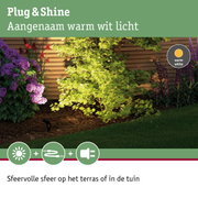 Tuin met groen blad en paarse bloemen verlicht door warm wit Plug & Shine LED-licht