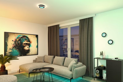 Moderne woonkamer met grijze stoffen bank, zwarte bijzettafels en ronde zwarte LED-plafond- en wandlampen.