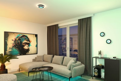 Modern living room with grey fabric sofa, black side tables, and round black LED ceiling and wall lights.