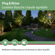 Allée de jardin éclairée par des bornes lumineuses blanc chaud pour une ambiance extérieure