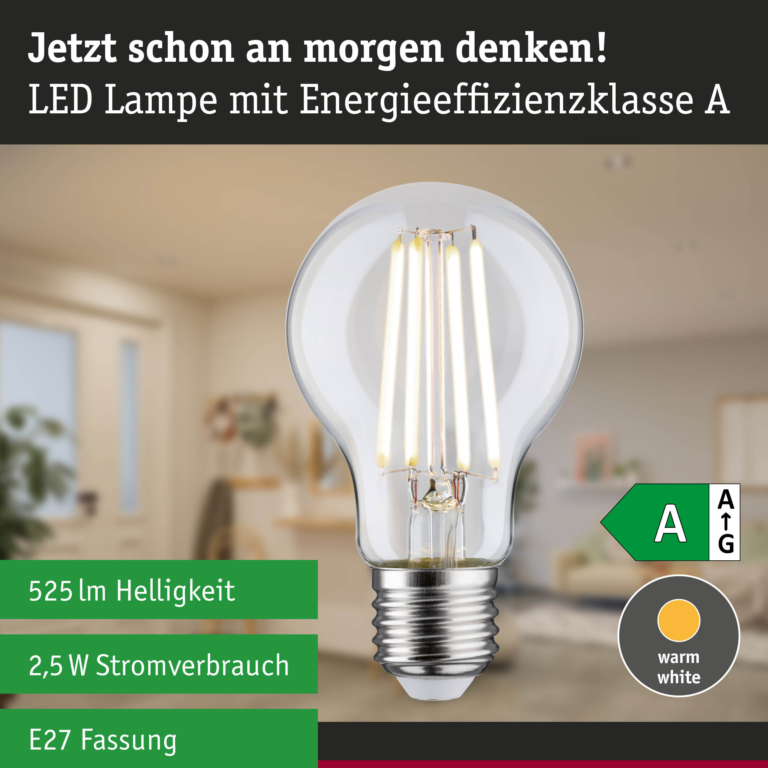 Efficient-Line Filament 230V LED Birne E27 1er-Set 525lm 2,5W 4000K Klar