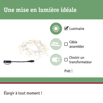 Guirlande LED avec ampoules blanches chaudes et câble noir pour éclairage décoratif