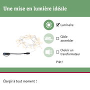 Guirlande lumineuse avec LED blanc chaud et câble noir pour éclairage décoratif facile à installer