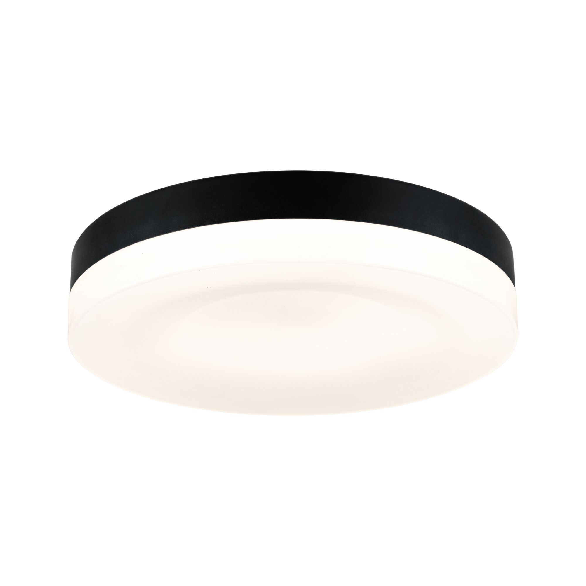 Round ceiling light with black metal frame and white diffuser, modern LED room lighting