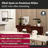 Moderne zwarte URail Spots Hildor hanglampen boven eettafel met houten dressoir en decoratie