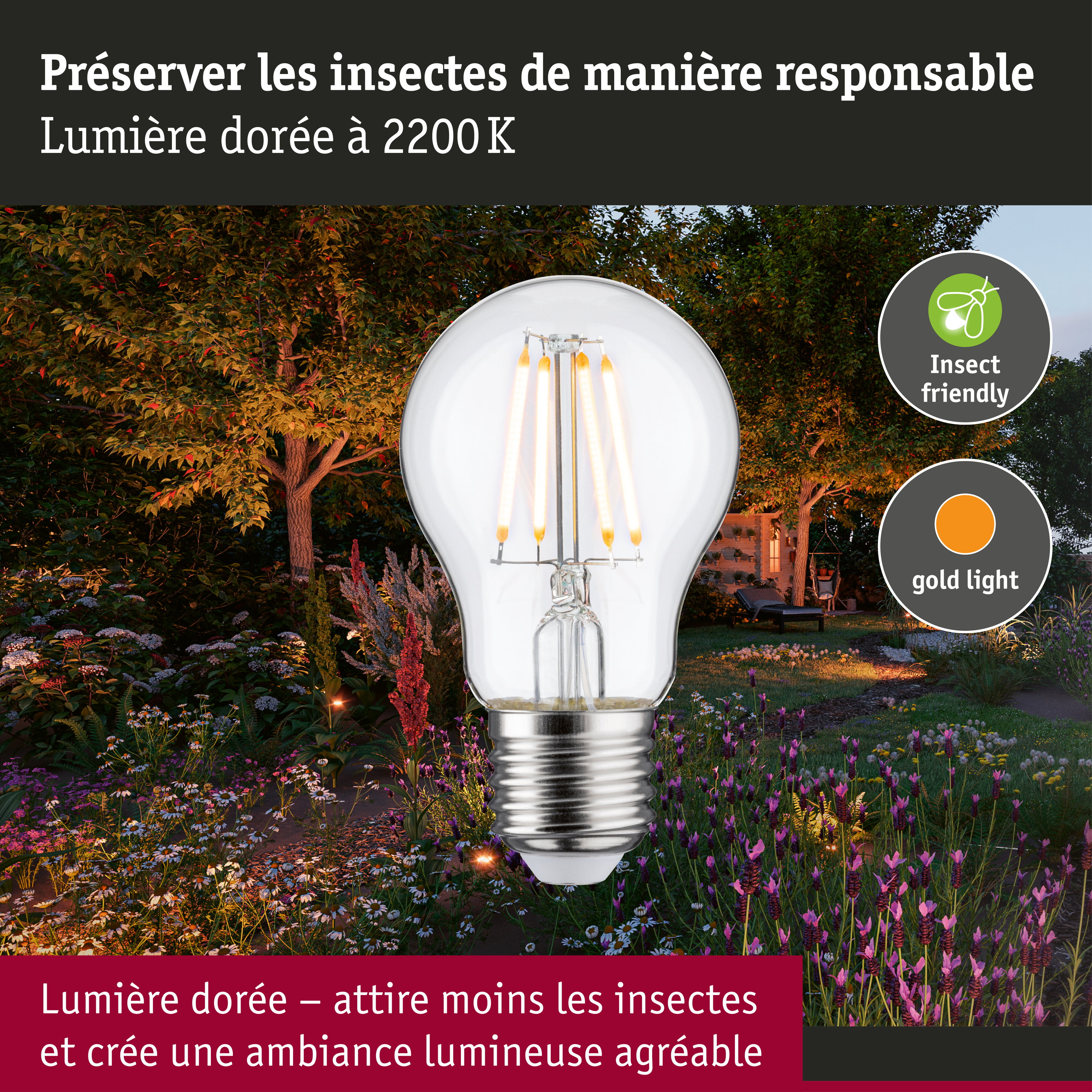 Filament 230 V Ampoule LED E27 favorable aux insectes 420lm 4,3W 2200K Clair