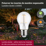 Filament 230 V Ampoule LED E27 favorable aux insectes 420lm 4,3W 2200K Clair