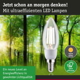 Energiesparende LED-Lampe mit warmweißem Licht und hoher Effizienz vor grünem Waldhintergrund