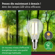 Ampoule LED à lumière blanc chaud et ultra-efficace sur fond de forêt verte