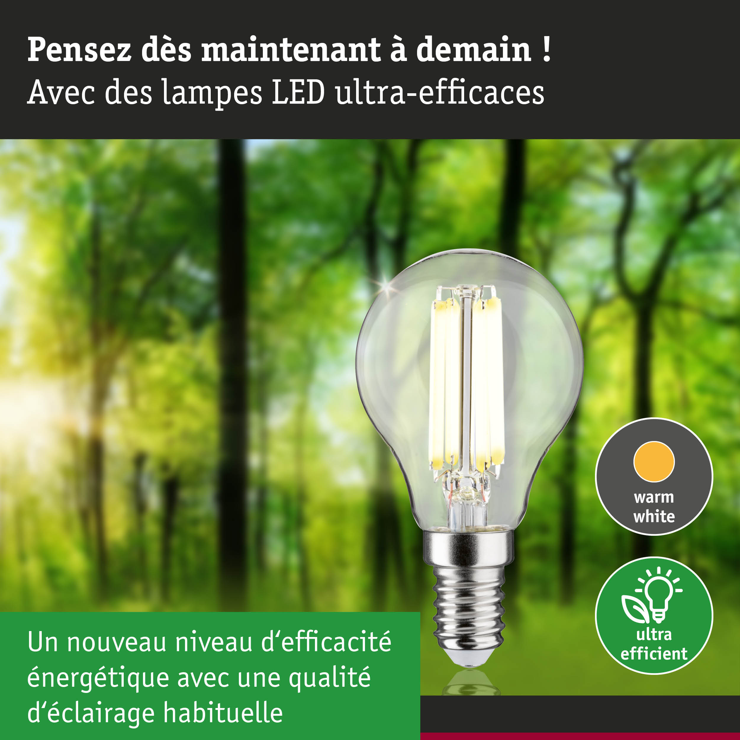 Ampoule LED à lumière blanc chaud et ultra-efficace sur fond de forêt verte