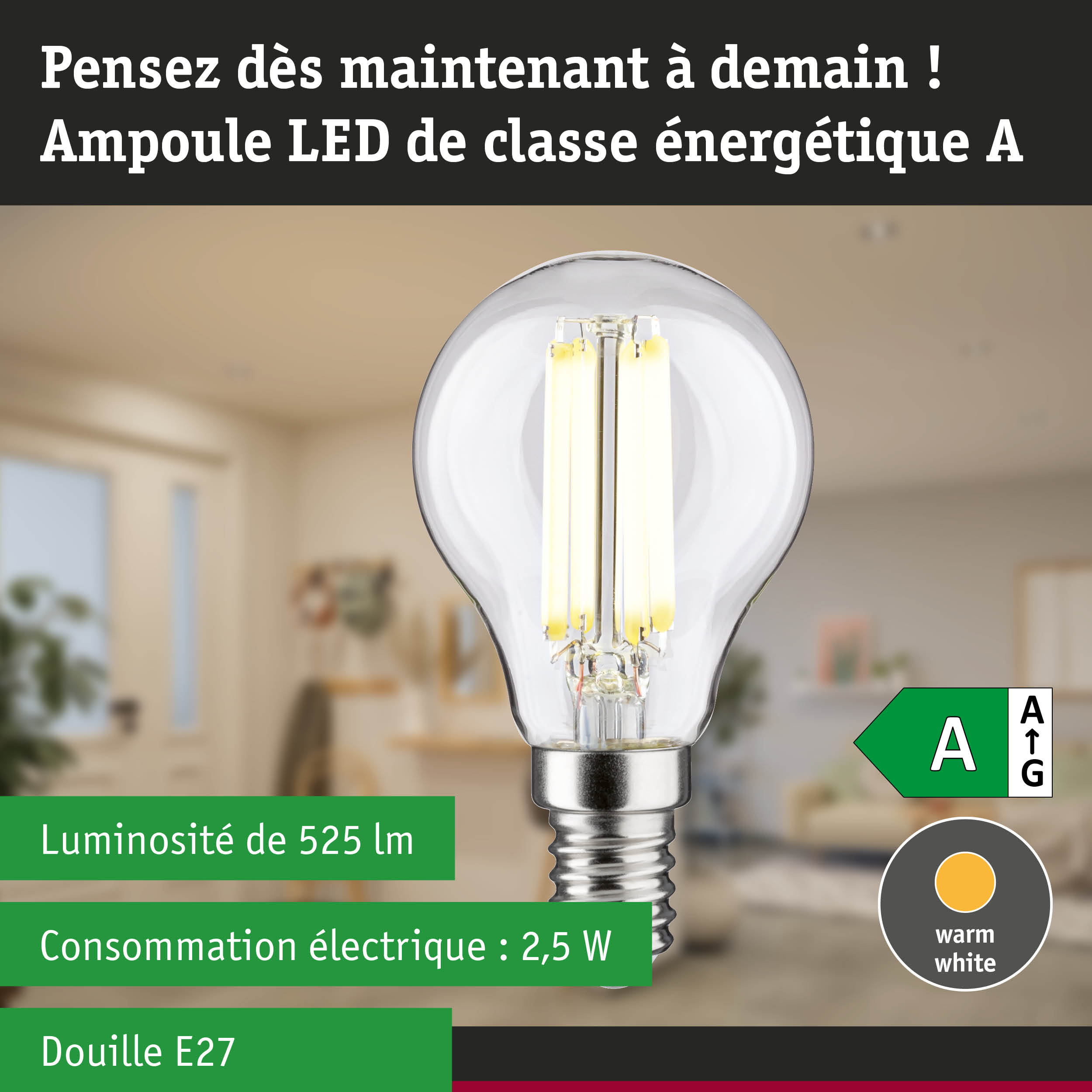 Ampoule LED à lumière blanc chaud et ultra-efficace sur fond de forêt verte