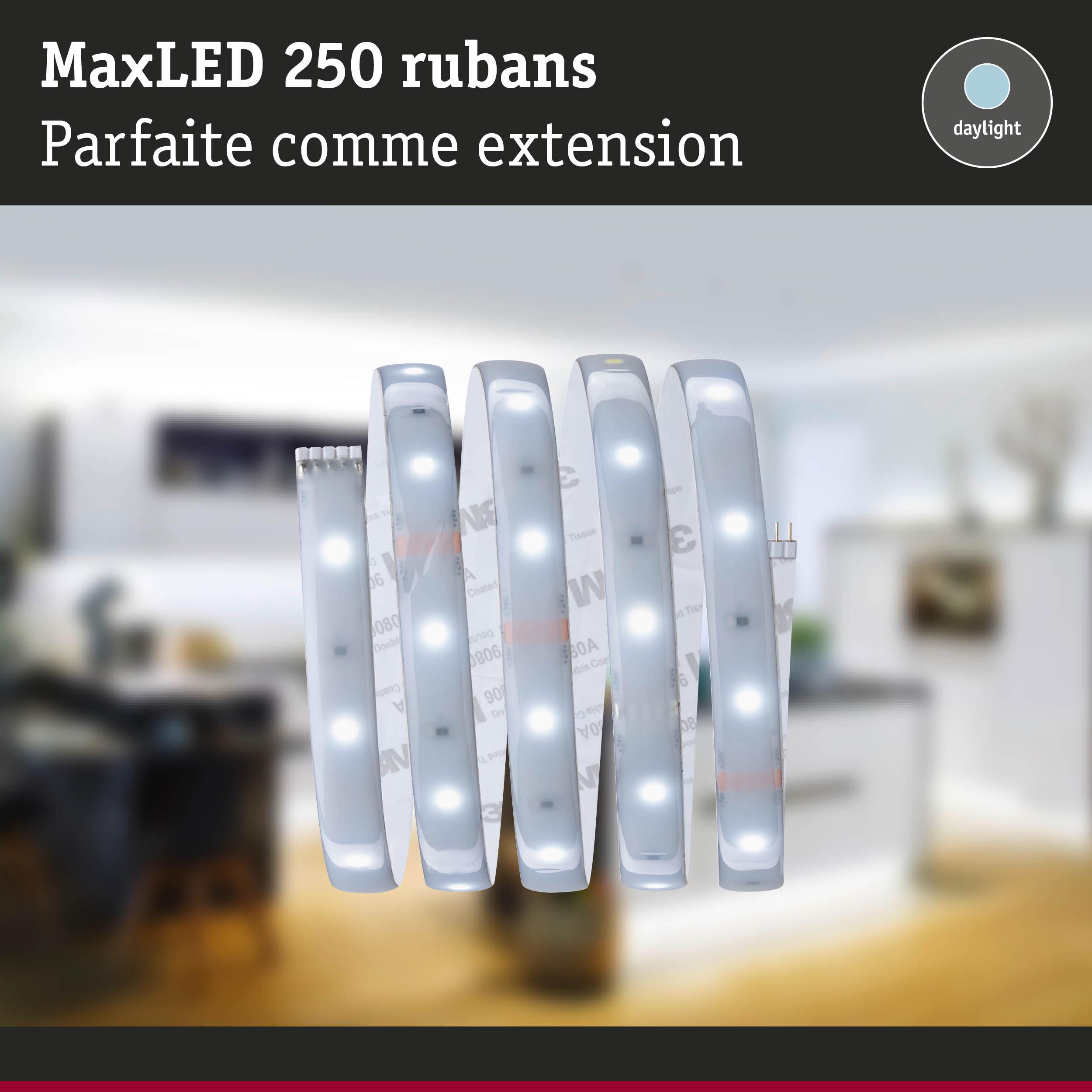 Bande LED MaxLED 250 blanche avec lumière de jour, parfaite comme extension d'éclairage LED