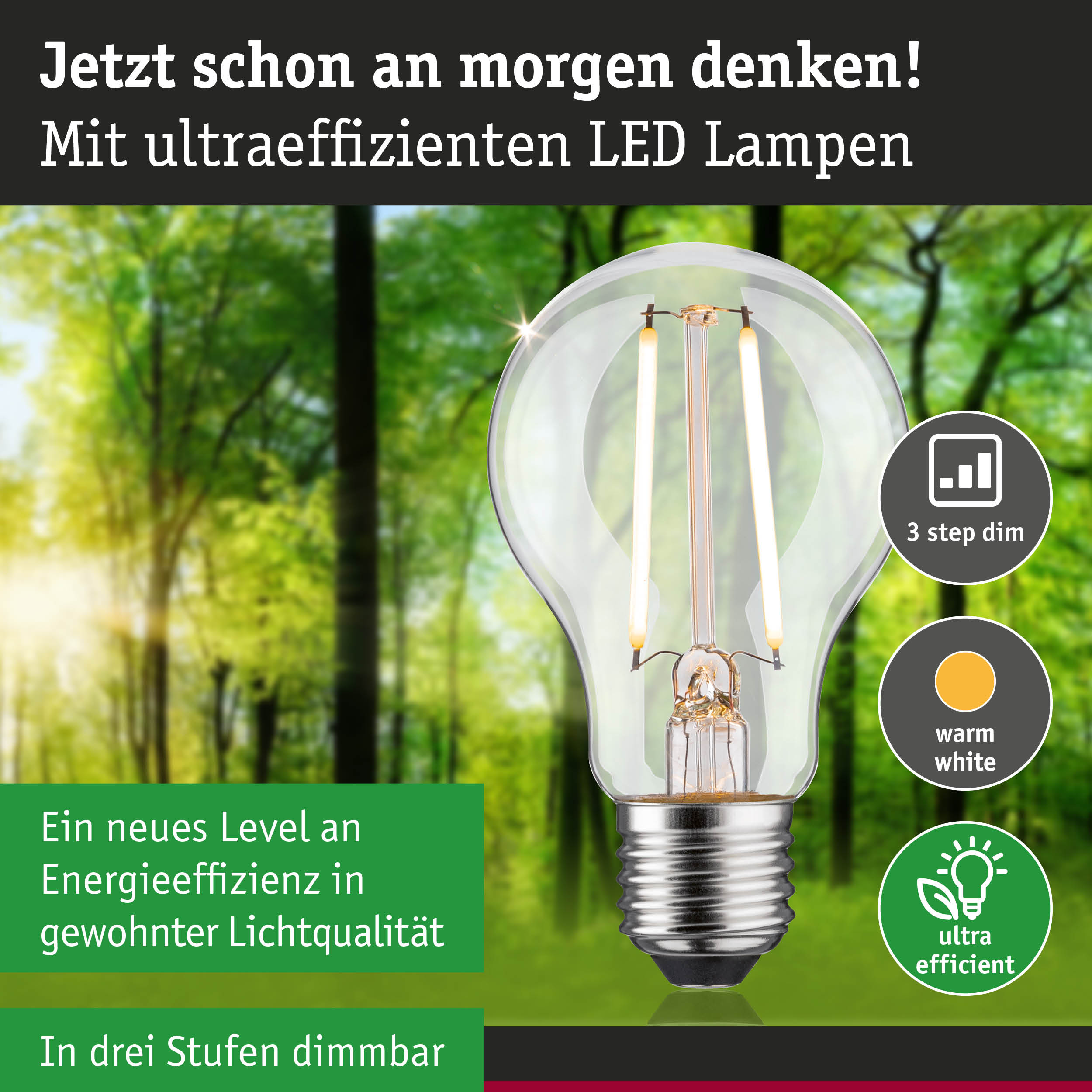 Klarer LED-Leuchtmittel mit warmweißem Licht und hoher Energieeffizienz, dimmbar in drei Stufen