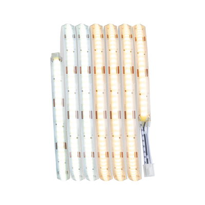 Bandes LED flexibles en blanc chaud et blanc froid avec câble de connexion pour éclairage polyvalent