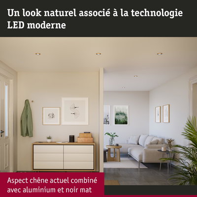 Salon moderne avec éclairage LED en aluminium mat et noir, meubles en bois clair et décoration naturelle