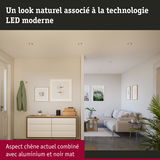 Salon moderne avec éclairage LED en aluminium mat et noir, meubles en bois clair et décoration naturelle