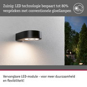 Zwarte metalen LED-buitenwandlamp met energiebesparende technologie en vervangbare LED-module