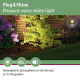 Garden with green maple and purple flowers lit by warm white Plug & Shine LED lighting