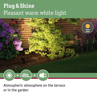 Garden with green maple and purple flowers lit by warm white Plug & Shine LED lighting
