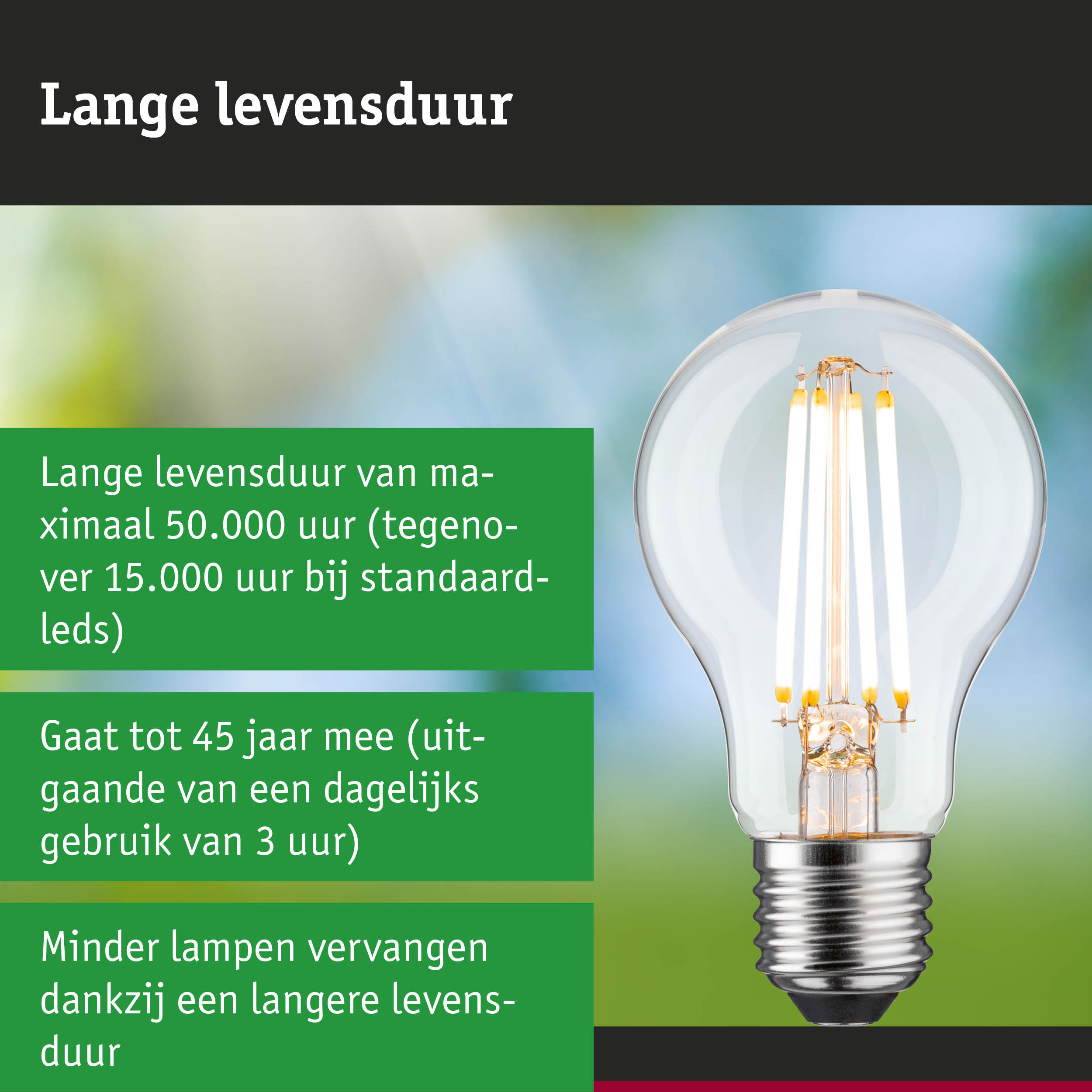 LED-lamp met lange levensduur in hand, energiezuinige duurzame verlichting