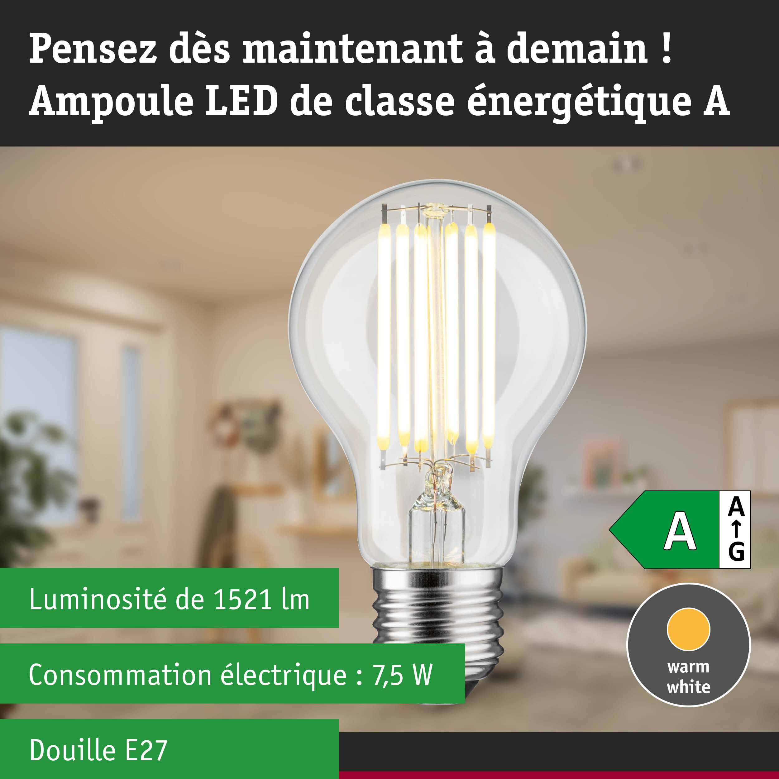 Ampoule LED à lumière blanc chaud et ultra-efficace sur fond de forêt verte