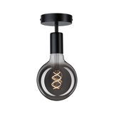 Plafondlamp met zwarte metalen houder en ronde rookglas met decoratieve LED-filament voor woonruimtes