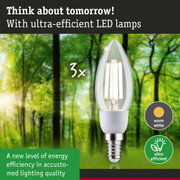 Clear LED bulb with warm white light and high energy efficiency against green forest background