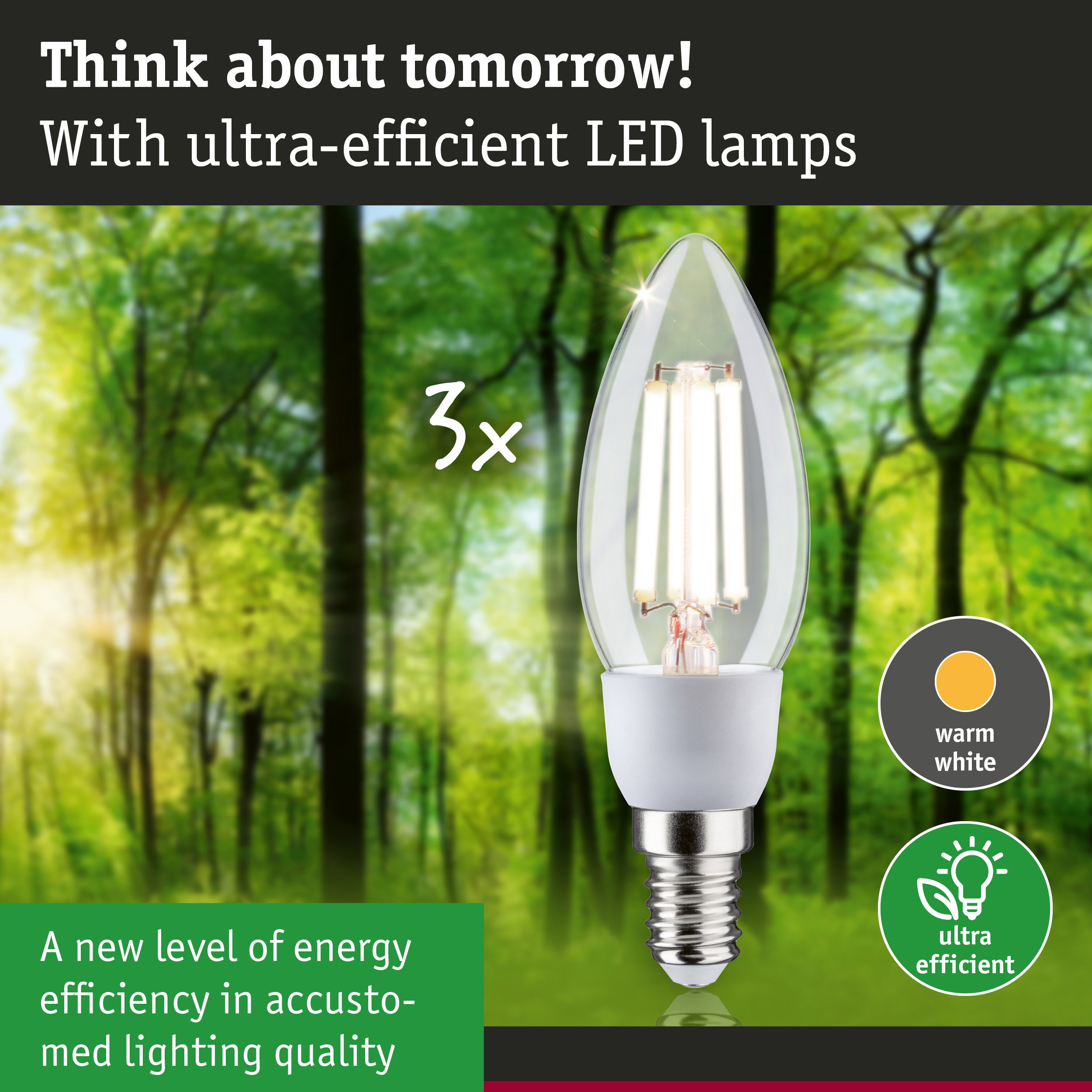 Clear LED bulb with warm white light and high energy efficiency against green forest background