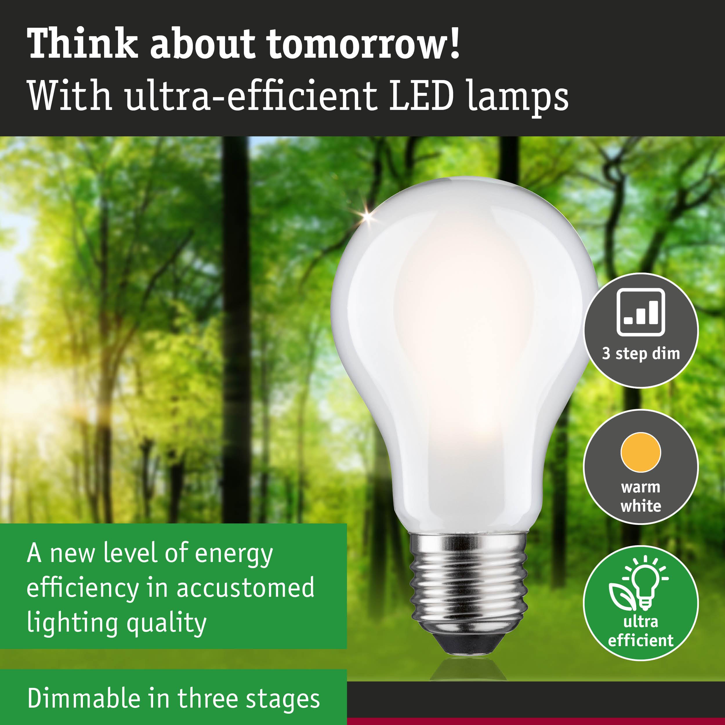 Energy-efficient LED bulb with warm white light and three-step dimming shown against forest background