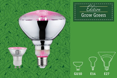 Lampes LED Paulmann Grow Green Edition pour plantes en douilles GU10 et E27 avec lumière rose