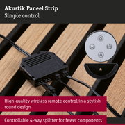 Acoustic Panel Strip with high-quality wireless remote and controllable 4-way splitter in black