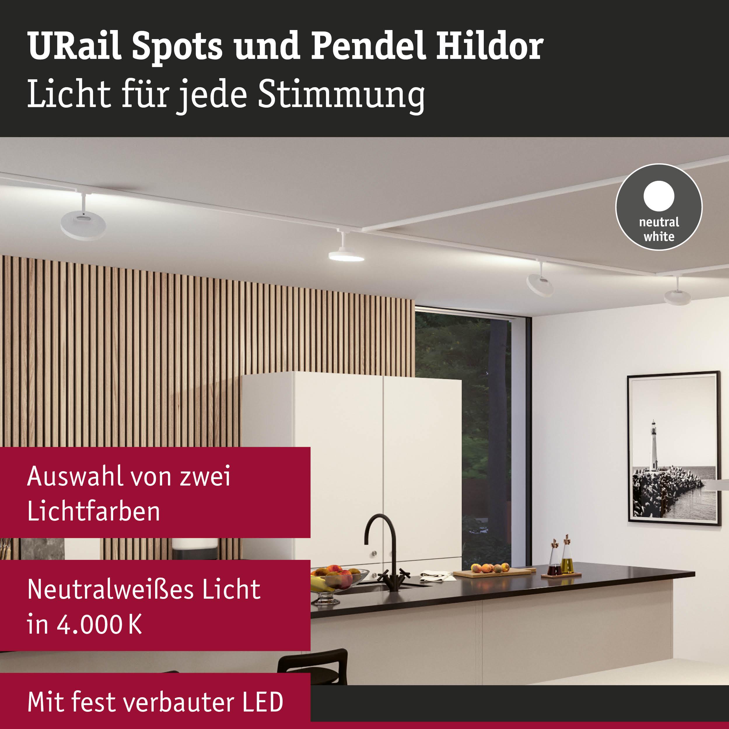 Moderne weiße URail LED-Spots an Decke in Küche mit Holzpaneelwand und schwarzer Arbeitsplatte